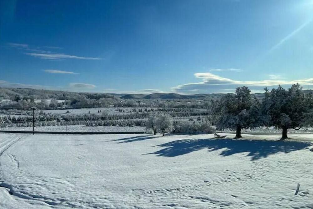 Photo of Outdoor in Muncy