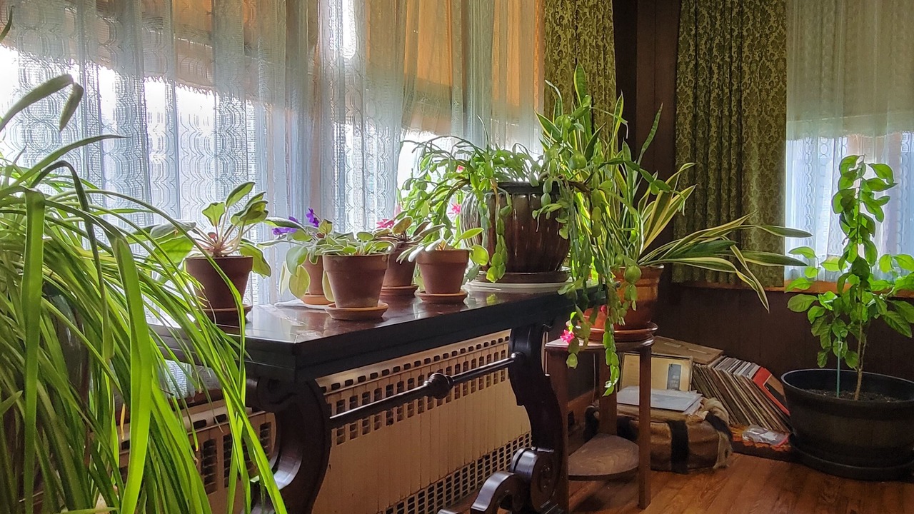 Photo of Others in Barnesville