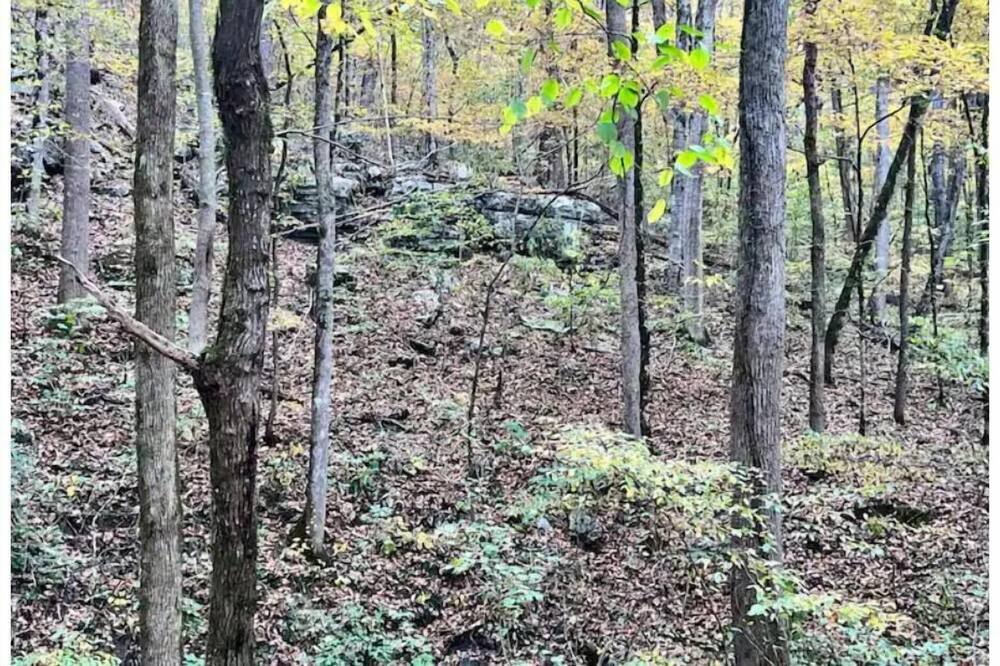 Photo of Outdoor in Albertville