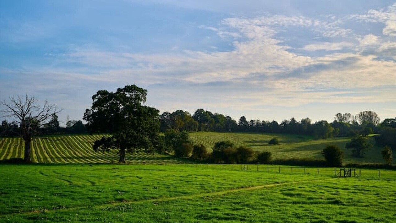 Photo of Others in Upper Seagry