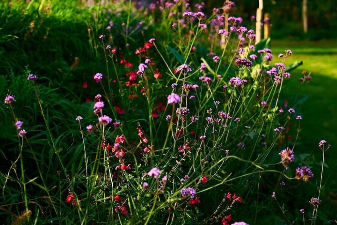 Photo of Outdoor in Upper Seagry