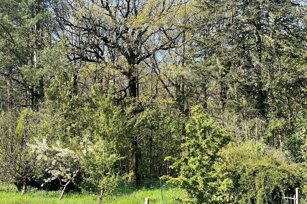 Photo of Outdoor in Wierre-au-Bois