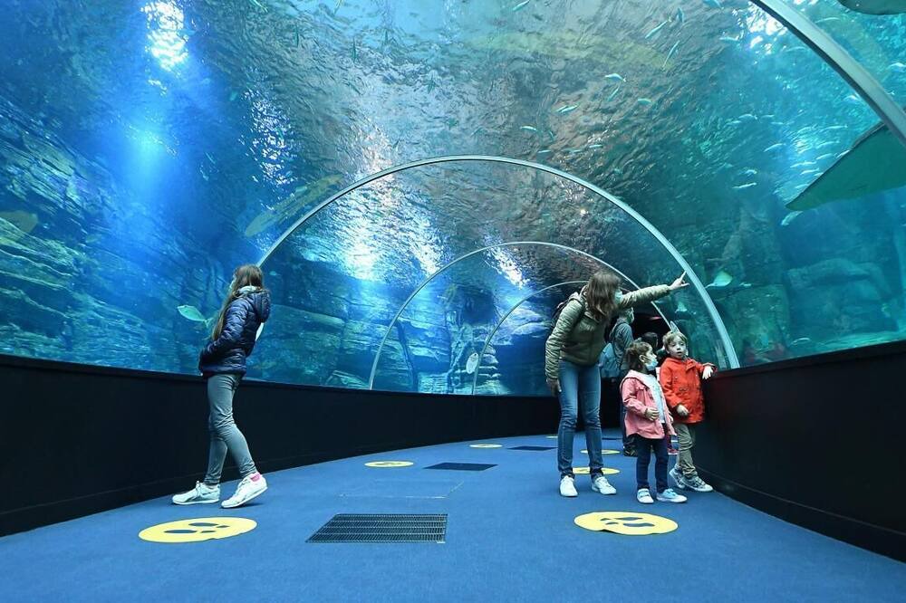 Photo of Others in Dernier Sou