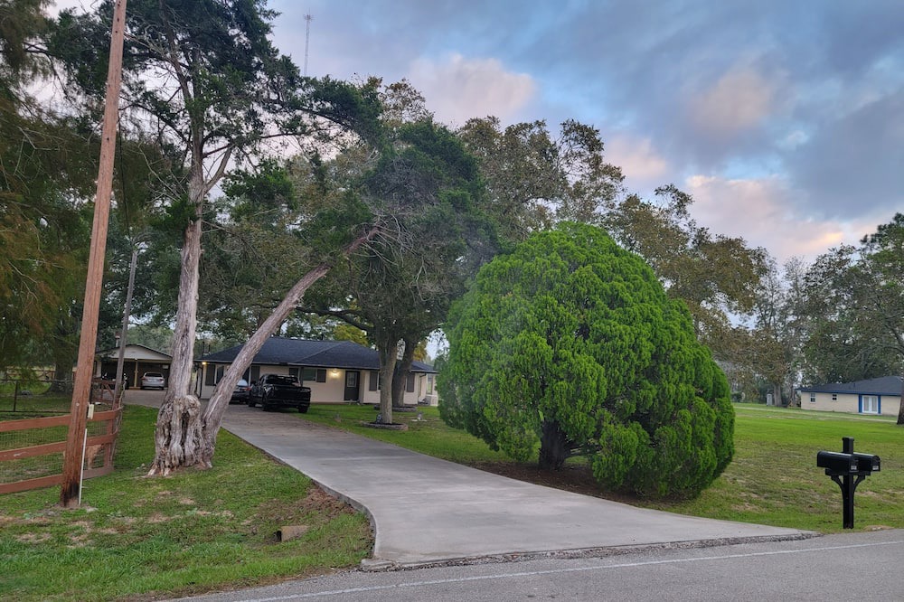 Photo of Outdoor in Alvin