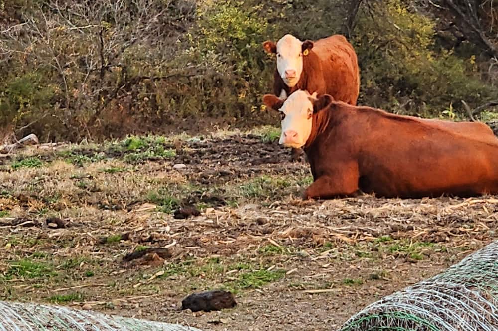 Photo of Outdoor in Shaftsbury