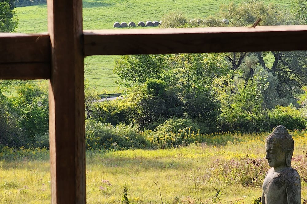 Photo of Outdoor in Shaftsbury