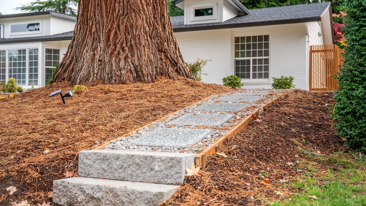 Photo of Outdoor in Vancouver