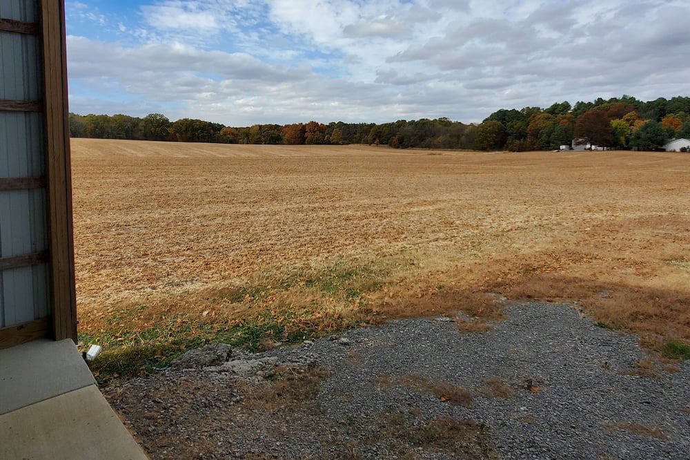 Photo of Others in Carterville