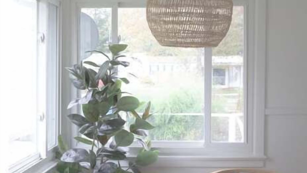 Photo of Others in Madison Beach