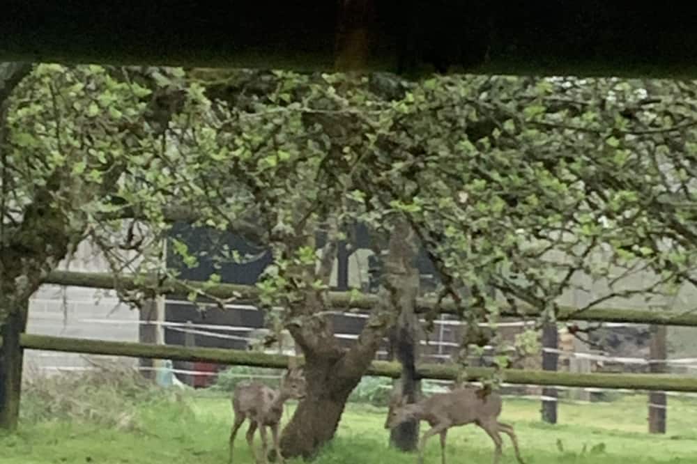 Photo of Outdoor in Manerbe