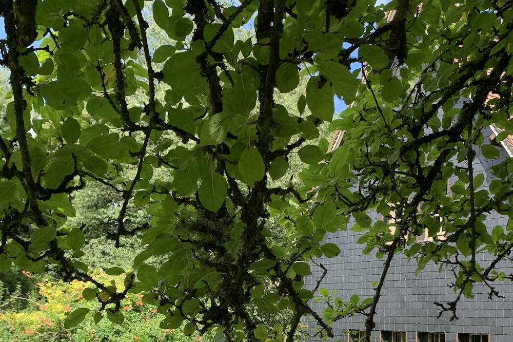 Photo of Outdoor in Manerbe