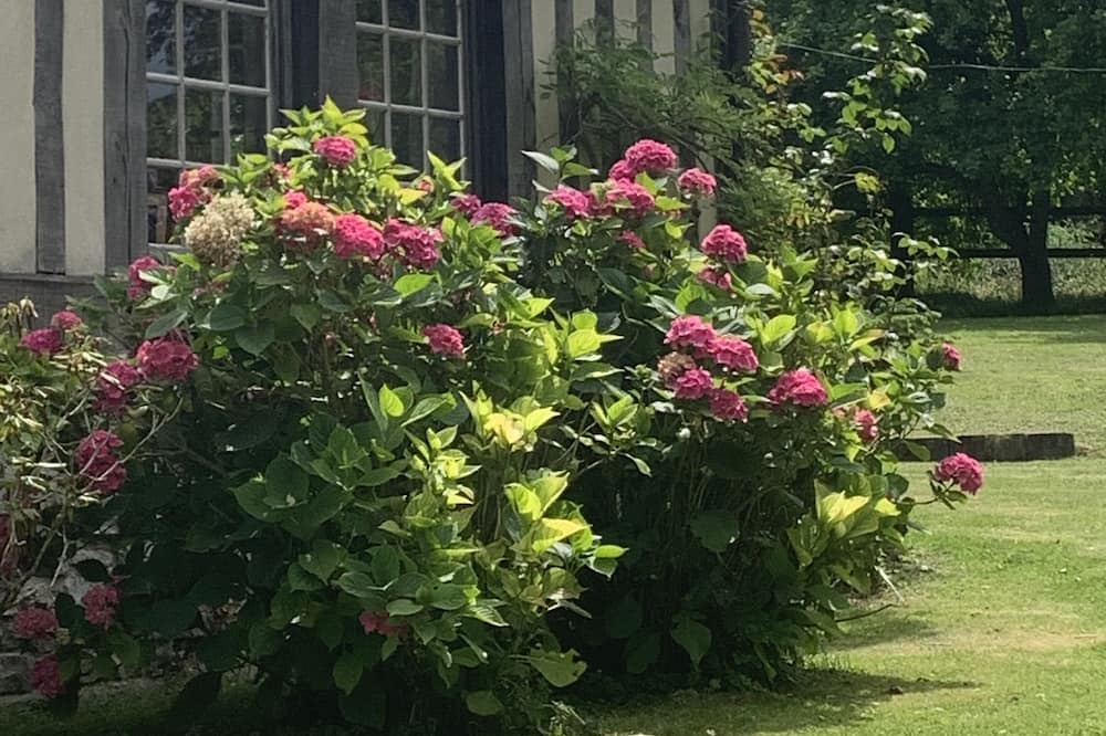 Photo of Outdoor in Manerbe