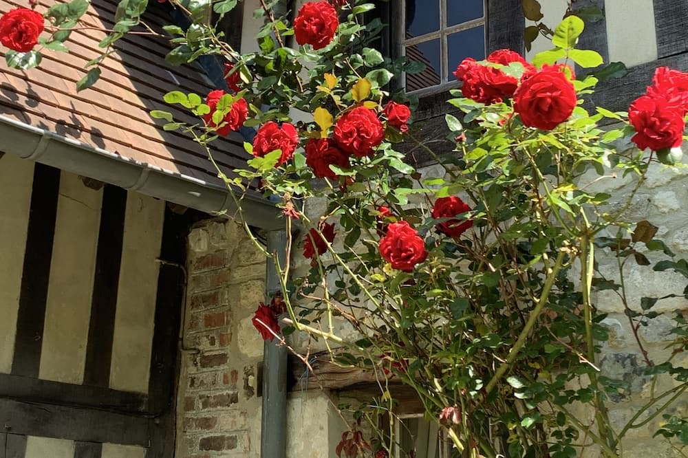 Photo of Outdoor in Manerbe