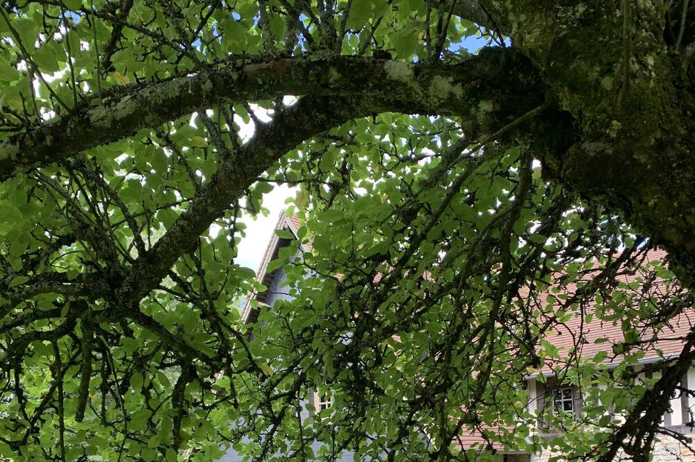 Photo of Outdoor in Manerbe