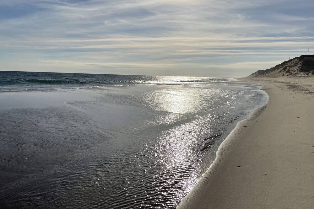 Photo of Others in South Wellfleet