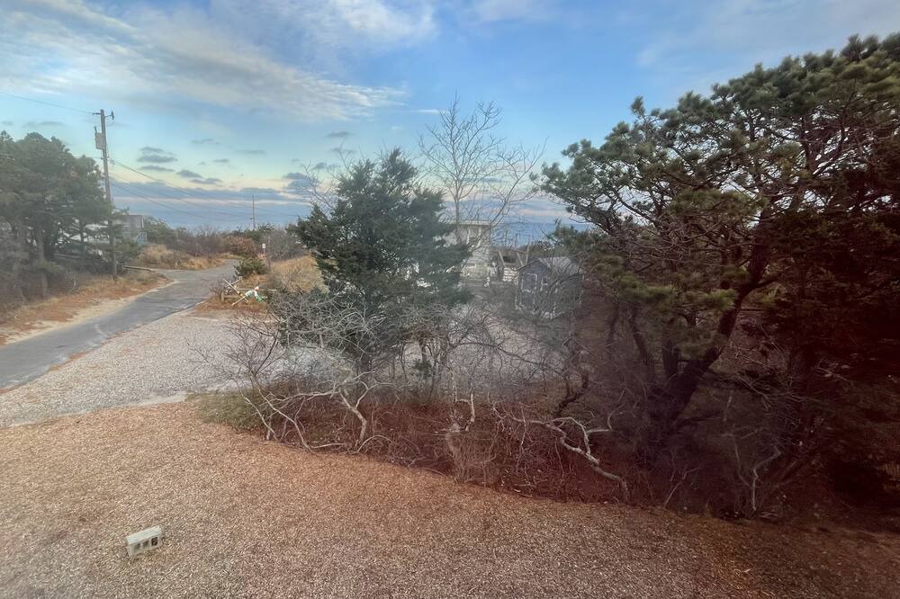 Photo of Outdoor in South Wellfleet