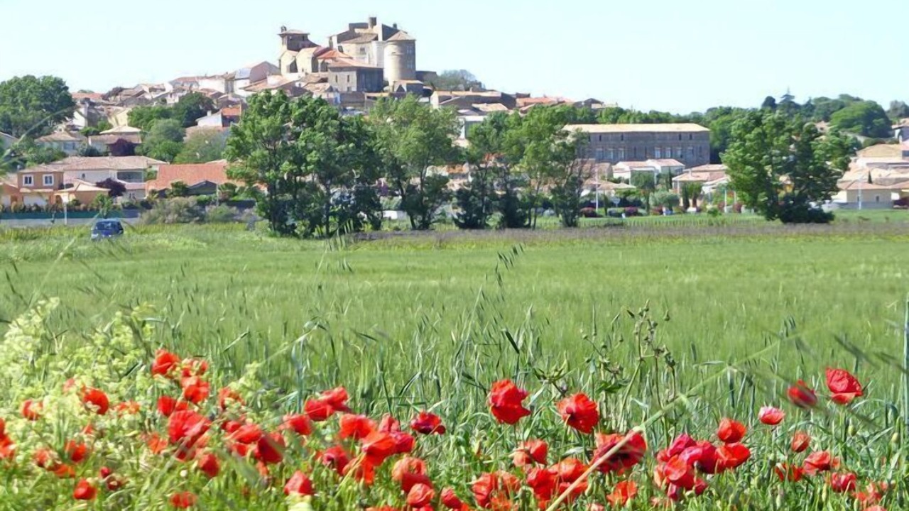 Photo of Outdoor in Puissalicon
