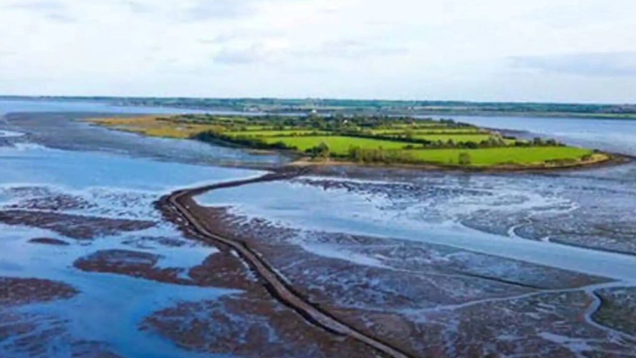 Photo of Others in Maldon