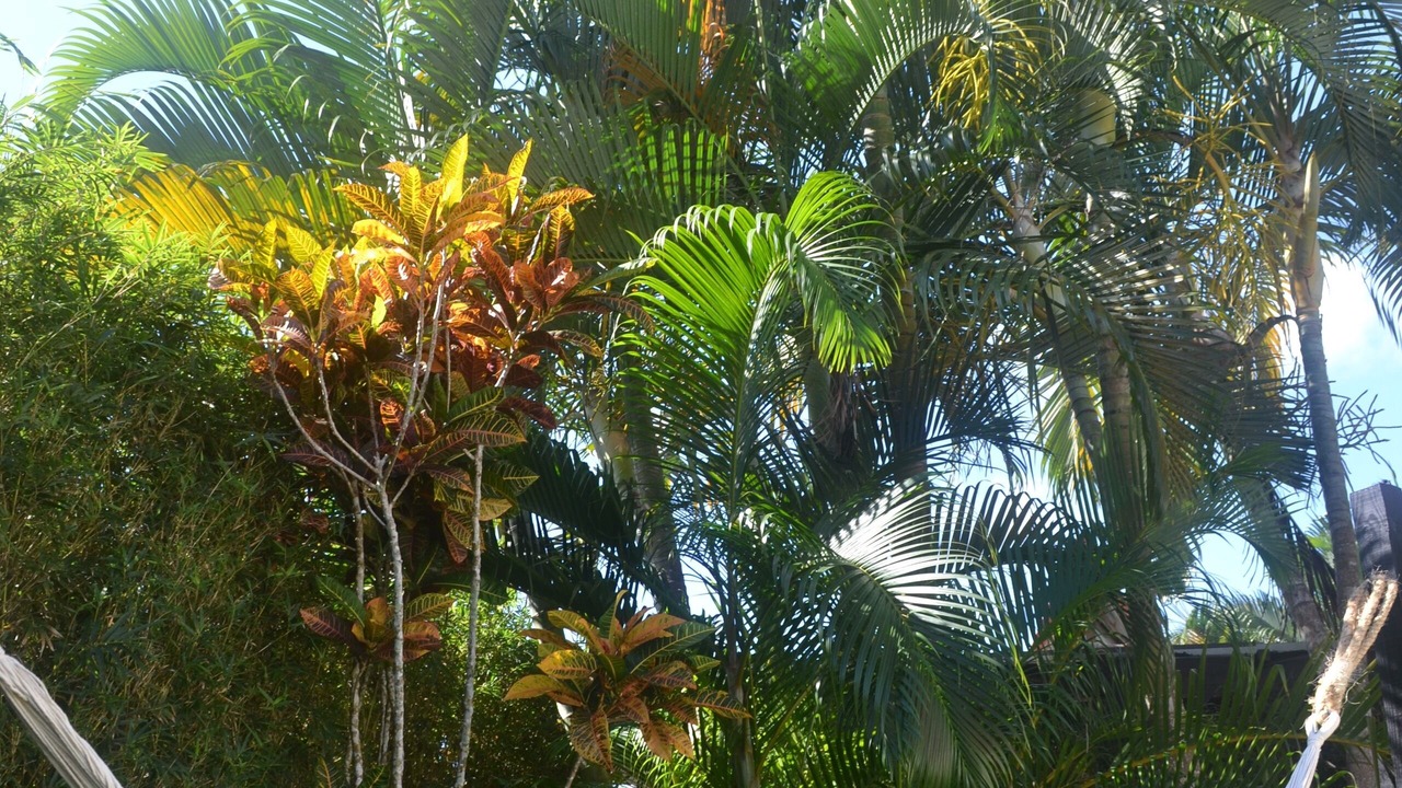 Photo of Outdoor in Las Terrenas