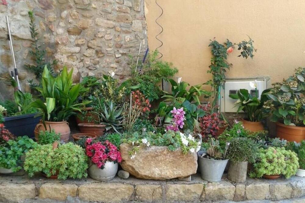 Photo of Outdoor in Talarn