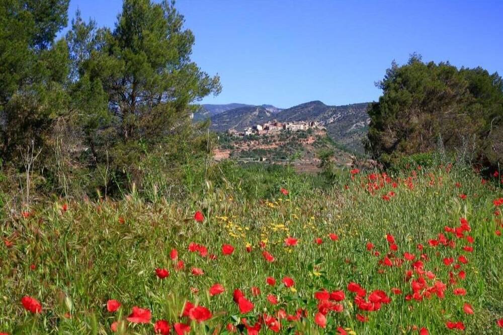 Photo of Others in Talarn