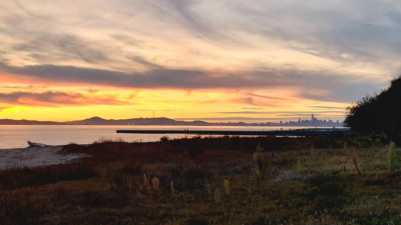 Photo of Others in Alameda