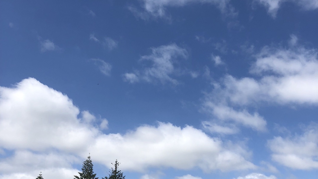 Photo of Others in Orewa