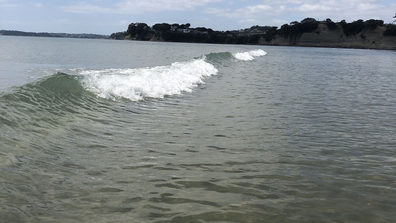 Photo of Others in Orewa