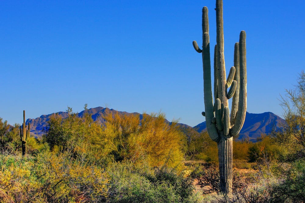 Photo of Others in Pinnacle Peak