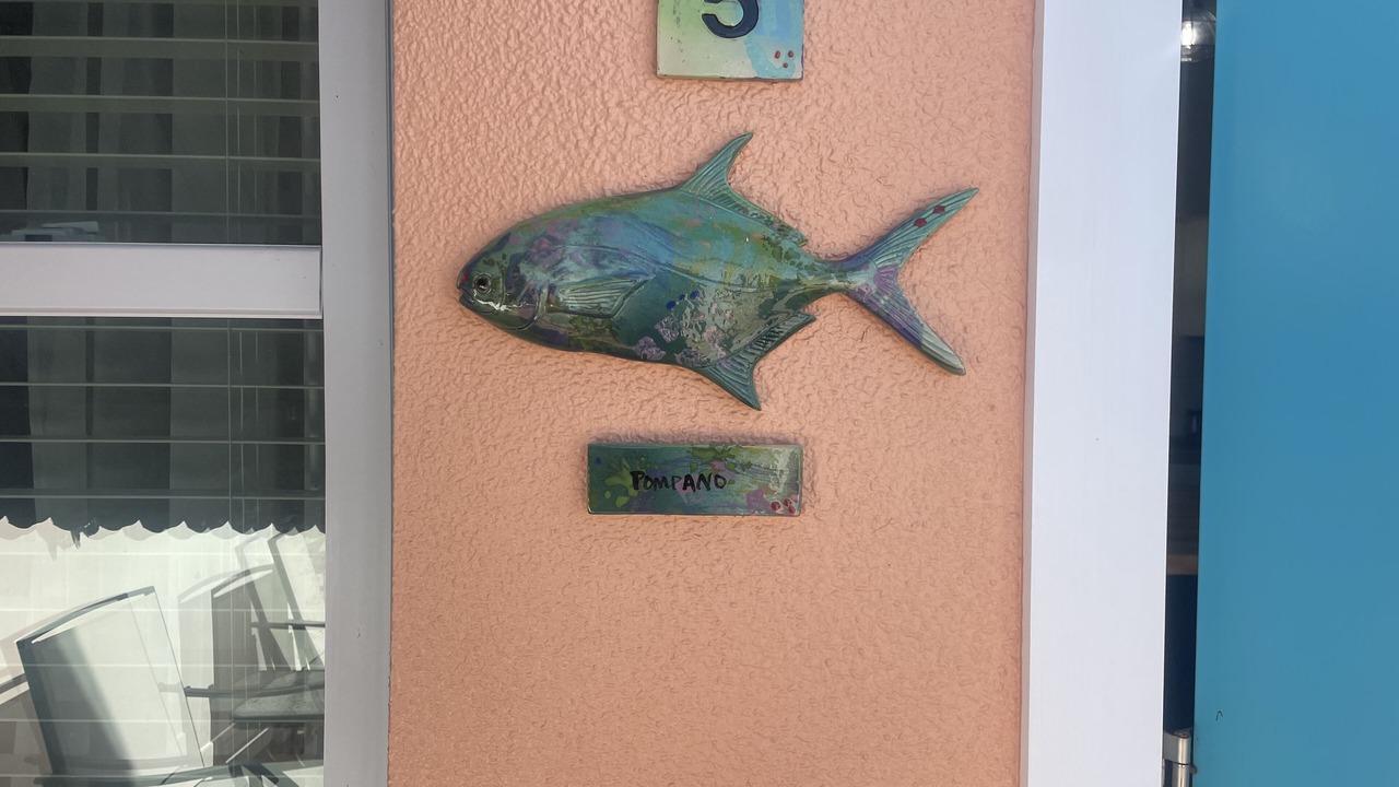 Photo of Outdoor in Saint James City