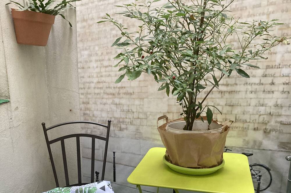 Photo of Outdoor in Agen