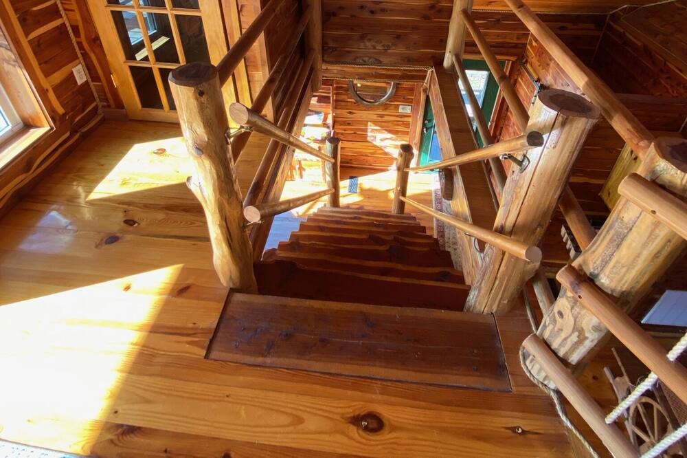 Photo of Others in Mammoth Spring