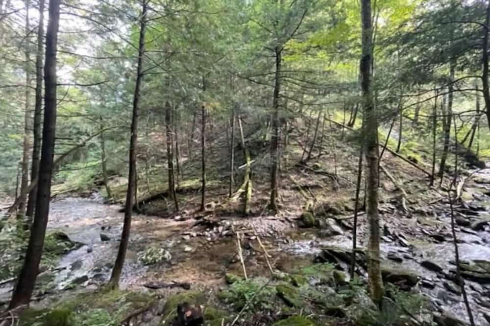 Photo of Outdoor in Hinesburg