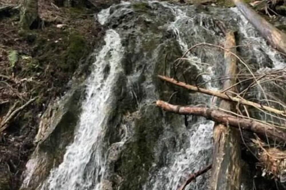 Photo of Others in Hinesburg