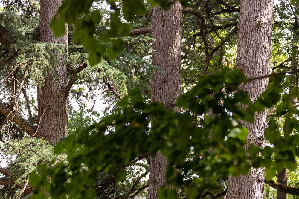 Photo of Outdoor in Revel