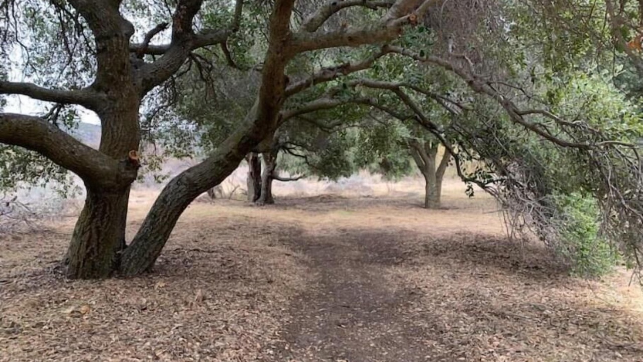 Photo of Others in Warner Springs