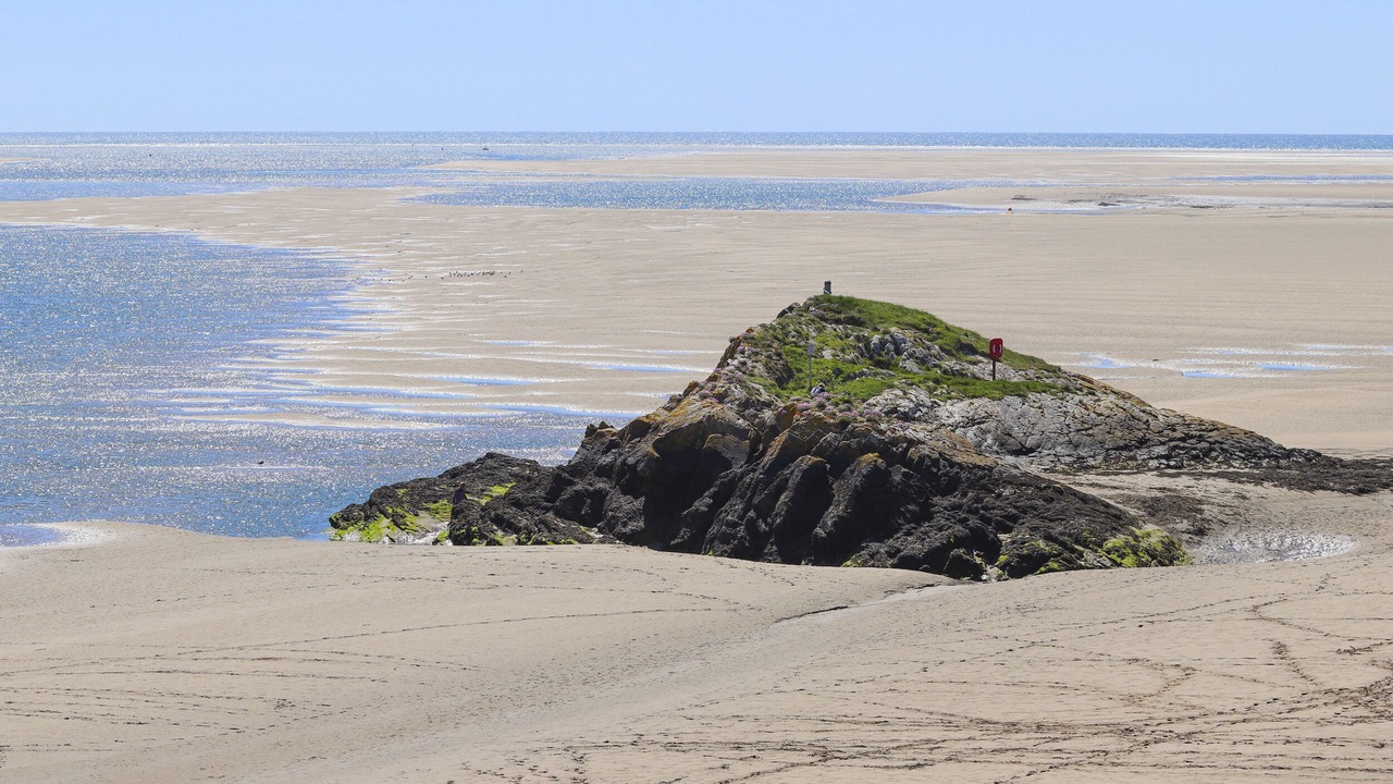 Photo of Others in Borth-y-Gest