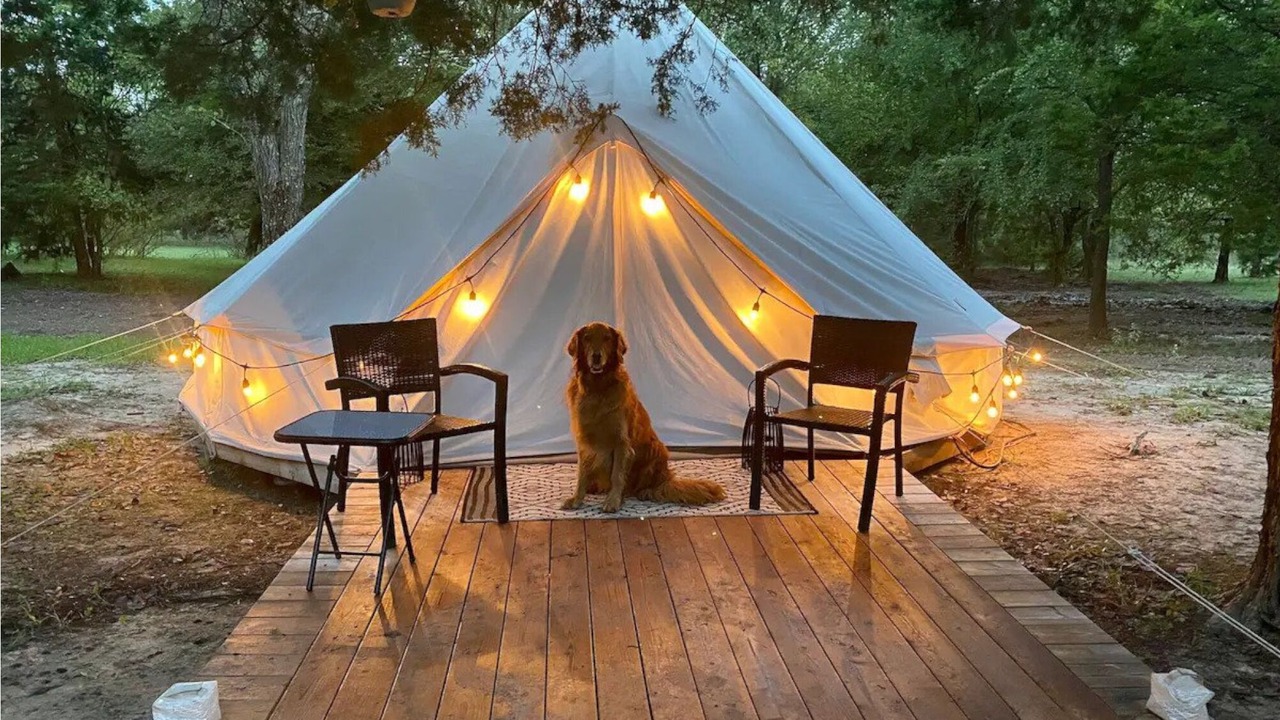 Photo of Outdoor in Irene