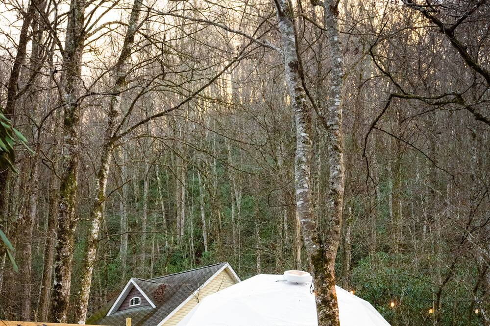 Photo of Outdoor in Brevard