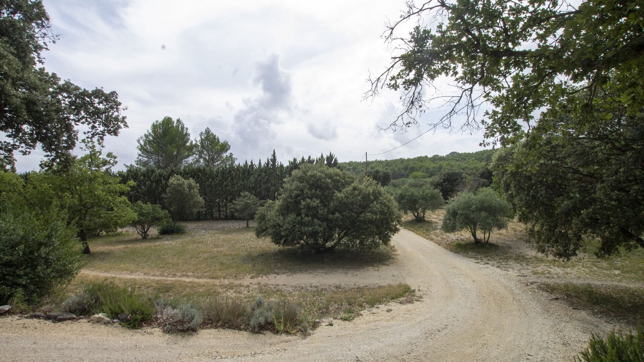 Photo of Outdoor in Lauris