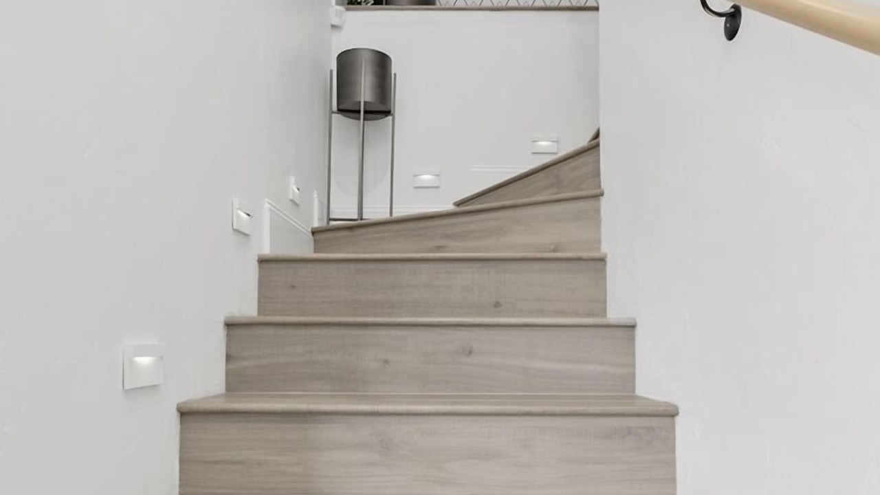 Photo of Others in North End