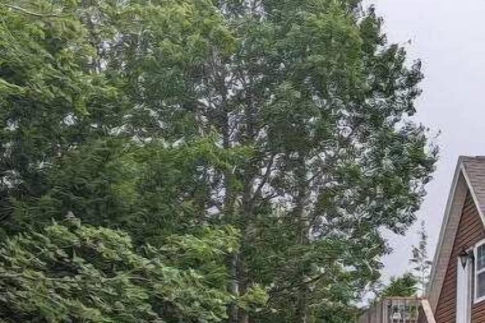 Photo of Outdoor in Halifax County
