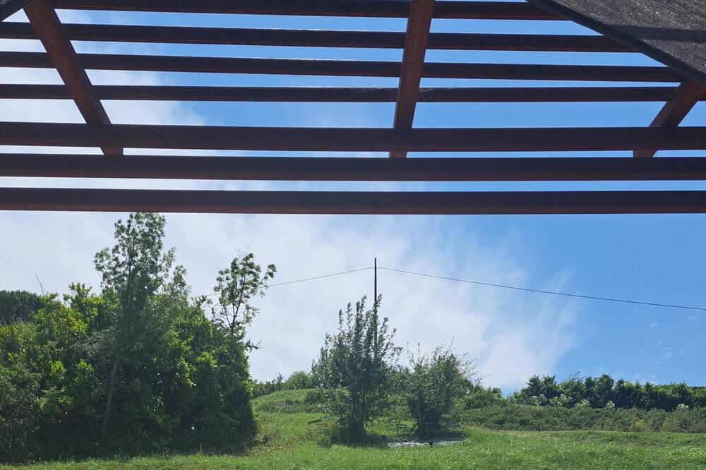 Photo of Outdoor in Vieille-Toulouse