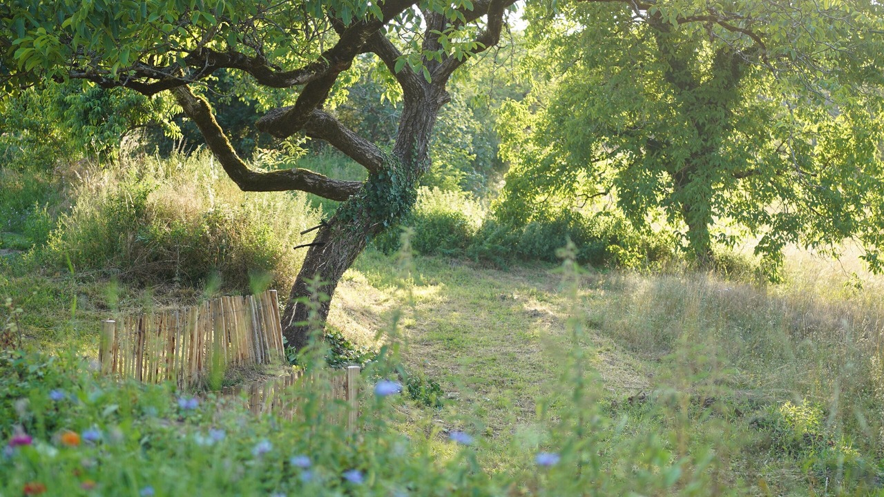 Photo of Outdoor in Sarlat-la-Caneda