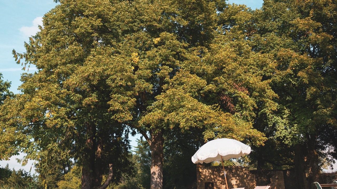 Photo of Outdoor in Sarlat-la-Caneda