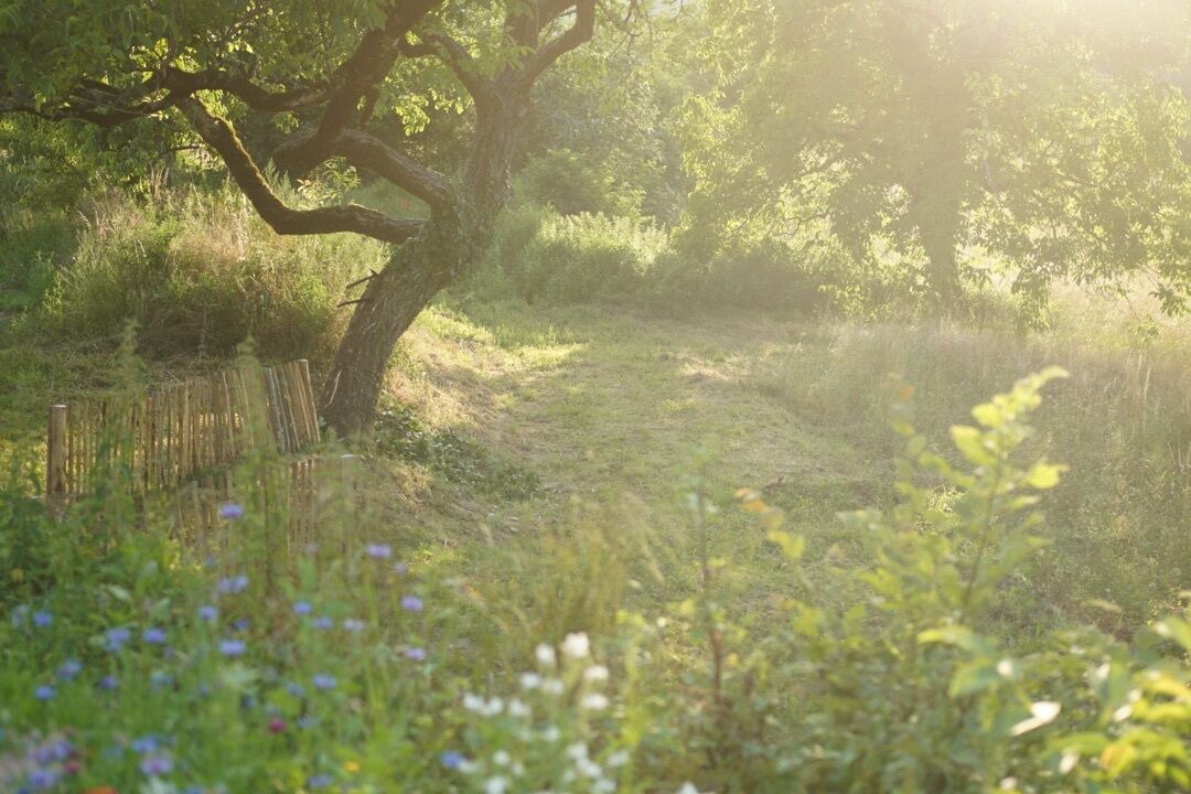 Photo of Others in Sarlat-la-Caneda