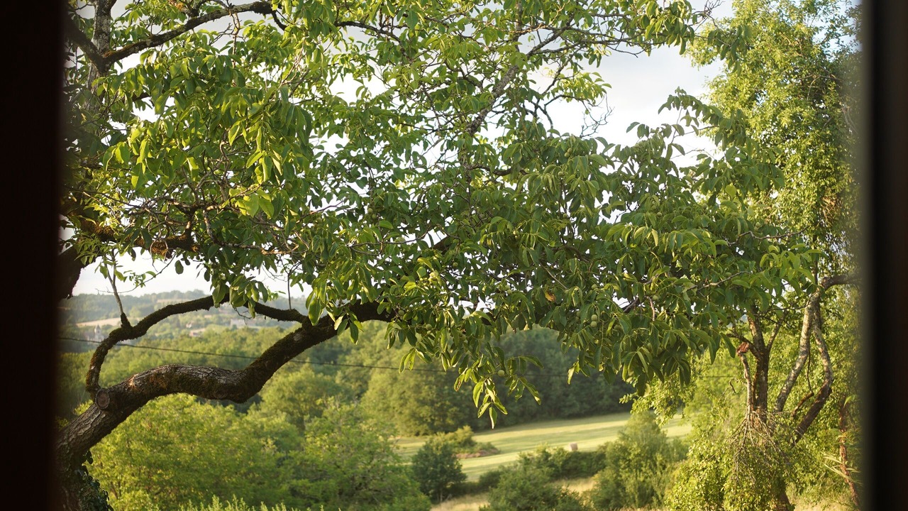 Photo of Others in Sarlat-la-Caneda