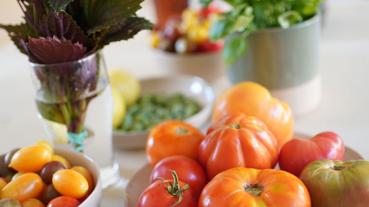 Photo of Others in Sarlat-la-Caneda