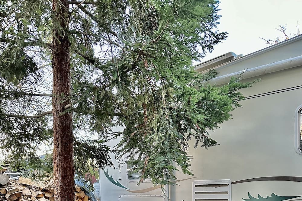 Photo of Outdoor in Lockeford