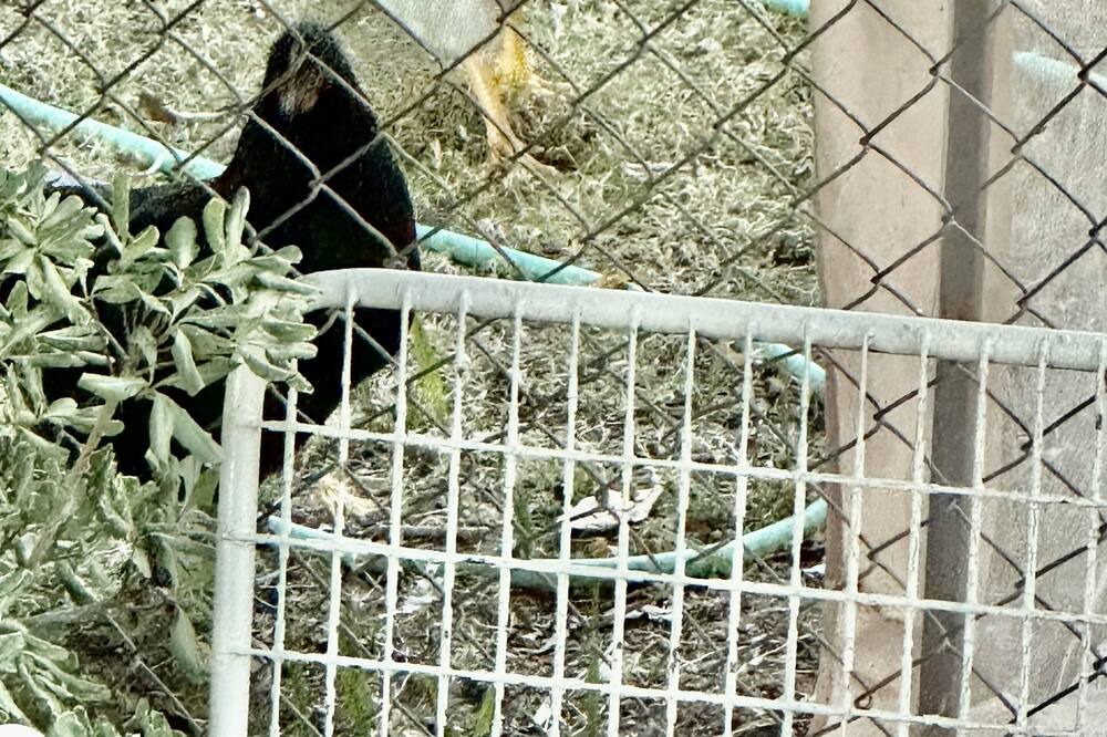 Photo of Others in Lockeford